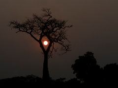 Framing The Sun